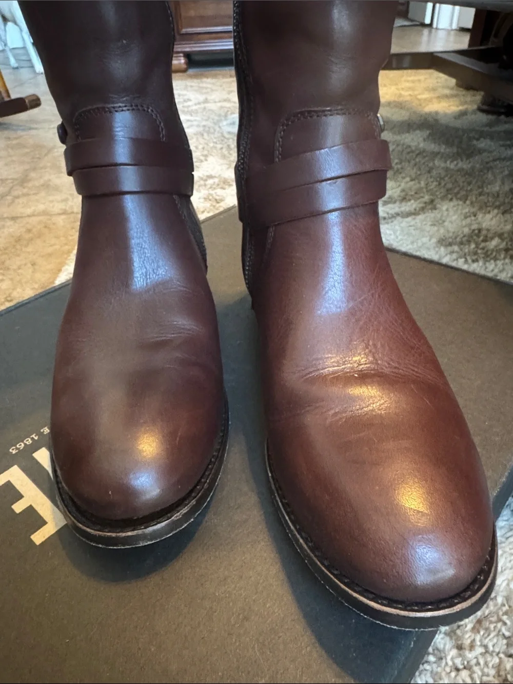 Frye Women's Melissa Belted Tall Riding Boots in Dark Brown Leather